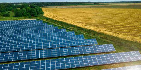 La scienza scommette sull’agrivoltaico. Lo studio del Politecnico di Milano